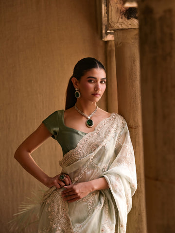 Firoza ice mint saree with pearl paisley border and sequins