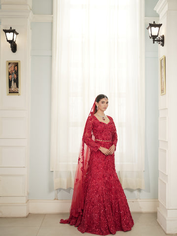 Ruby Red Evening Gown