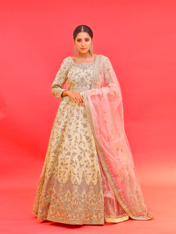 Pista Green Anarkali Floor Length Gown